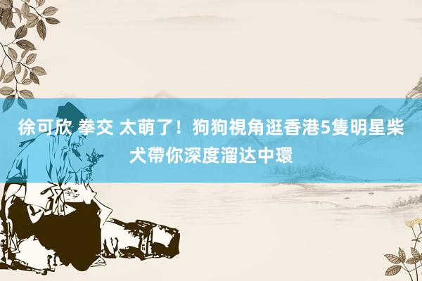 徐可欣 拳交 太萌了！狗狗視角逛香港　5隻明星柴犬帶你深度溜达中環