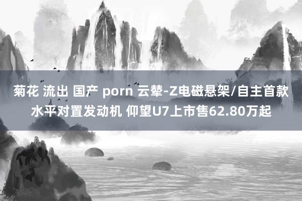 菊花 流出 国产 porn 云辇-Z电磁悬架/自主首款水平对置发动机 仰望U7上市售62.80万起