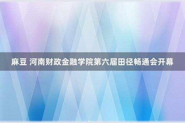 麻豆 河南财政金融学院第六届田径畅通会开幕