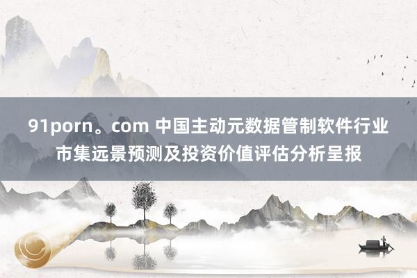 91porn。com 中国主动元数据管制软件行业市集远景预测及投资价值评估分析呈报